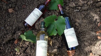 Permalien vers:Quels vins ? Permalien vers:Quels vins ?