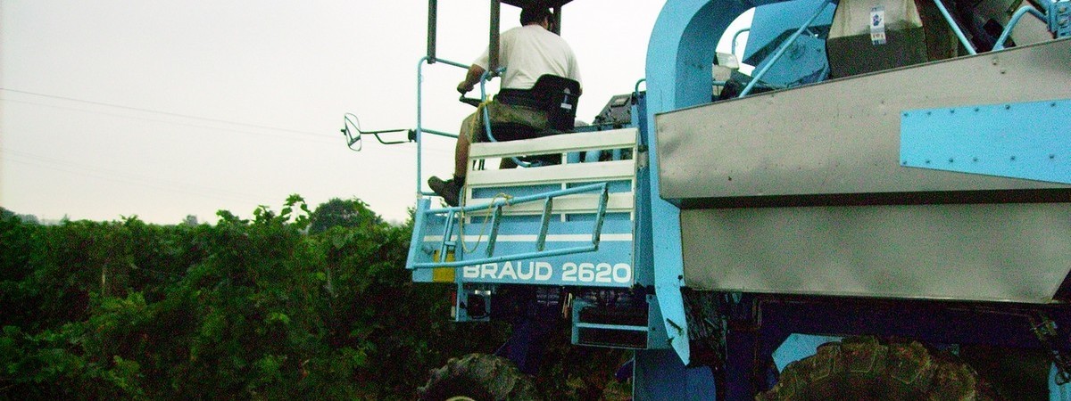 Permalien vers:La MAV (Machine à vendanger…)