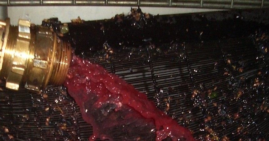 Blanc, Rouge ou Rosé, la vigne s'exprime joyeusement...