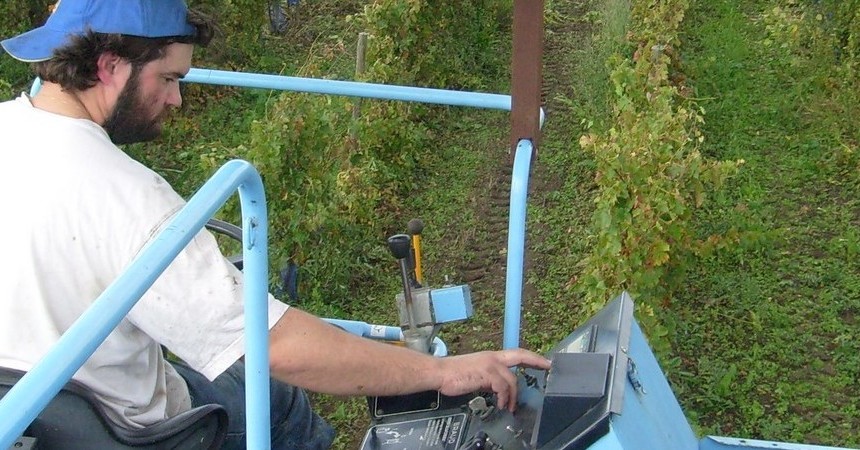 Vignoble vu du haut de la Machine à Vendanger...